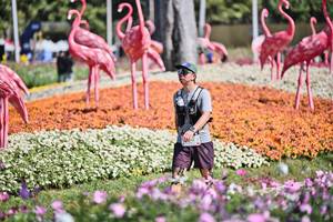 BIB: 
                            <button type="button" onclick="openModal(27793041)" class="btn btn-primary btn-sm float-right btn-popup" data-toggle="modal" data-target=".modal-high-quality">
                        <i class="fas fa-shopping-cart"></i> Add to Cart
                    </button>
                                            <button type="button" onclick="isThisMe(27793041, true)" class="btn btn-success btn-sm float-right btn-popup btn-isme hidden" data-toggle="tooltip" data-placement="bottom" title="นี่คือรูปของคุณใช่ไหม คลิกที่นี่เพื่อเอาเข้าอัลบั้ม">
                        <i class="fas fa-plus"></i> Add to album
                    </button>
                    <button type="button" onclick="isThisMe(27793041, false)" class="btn btn-warning btn-sm float-right btn-popup btn-isnotme hidden">
                        <i class="fas fa-ban"></i> Remove from album
                    </button>